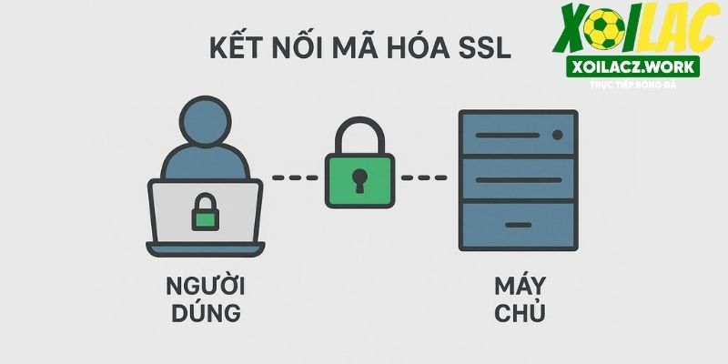 Dữ liệu được mã hóa giúp ngăn chặn mọi hành vi đánh cắp trái phép Dữ liệu được mã hóa giúp ngăn chặn mọi hành vi đánh cắp trái phép