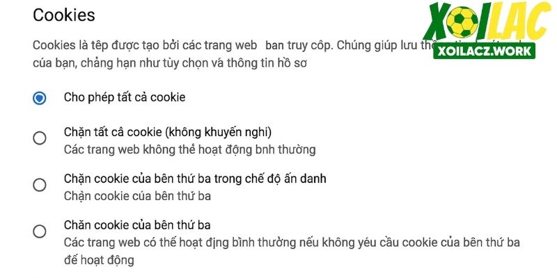 Bạn có thể chủ động bật/tắt Cookie theo ý muốn Bạn có thể chủ động bật/tắt Cookie theo ý muốn